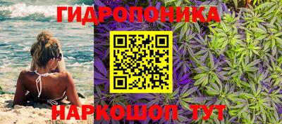 винт Гай