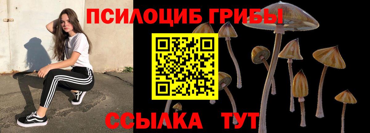 Галлюциногенные грибы мицелий  Вход с VPN  Галлюциногенные грибы мухоморы  Муром 